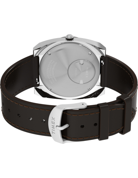 Timex Q Vintage-Inspired TW2Y31300 Watch