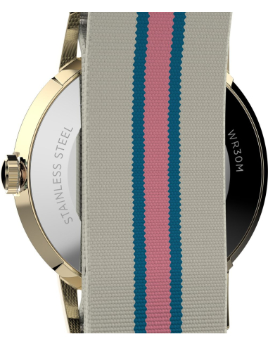 Timex Marlin TW2Y49800 Watch