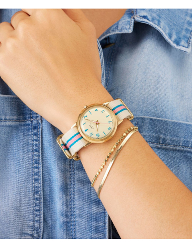 Timex Marlin TW2Y49800 Watch