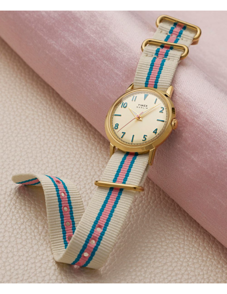 Timex Marlin TW2Y49800 Watch