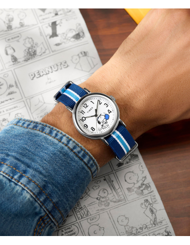 Timex Peanuts Weekender TW2Y50600 Watch