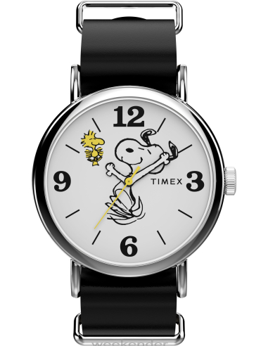 Timex Peanuts Weekender TW2Y60900 Watch