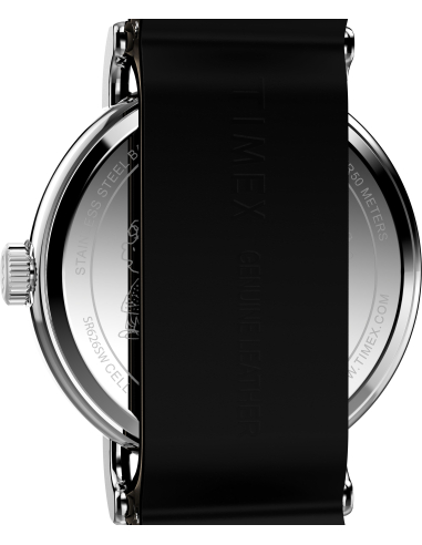 Timex Peanuts Weekender TW2Y60900 Watch