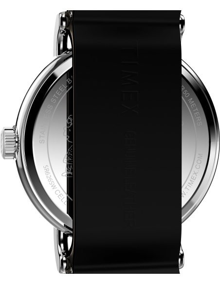 Timex Peanuts Weekender TW2Y60900 Watch