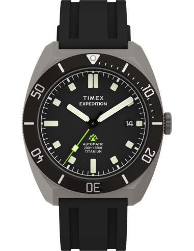 Timex Expedition Pioneer TW2Y63600 Watch