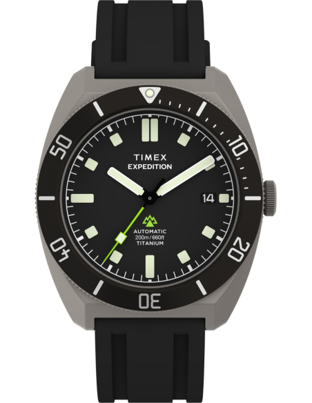 Timex Expedition Pioneer TW2Y63600 Watch