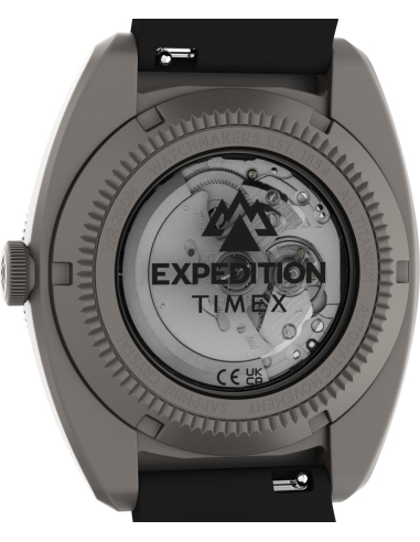 Timex Expedition Pioneer TW2Y63600 Watch