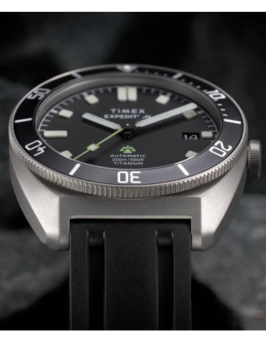 Timex Expedition Pioneer TW2Y63600 Watch