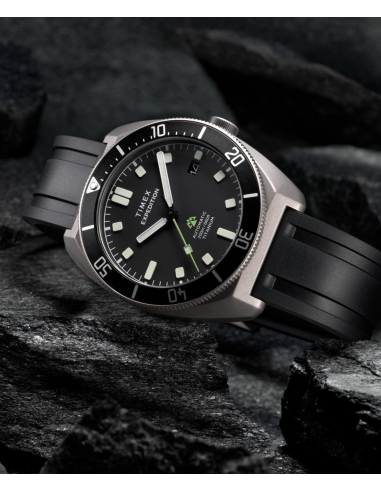 Timex Expedition Pioneer TW2Y63600 Watch