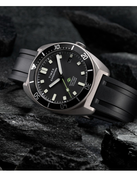 Timex Expedition Pioneer TW2Y63600 Watch