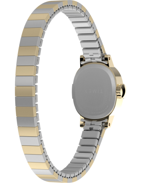 Timex Cavatina TW2Y66900 Watch