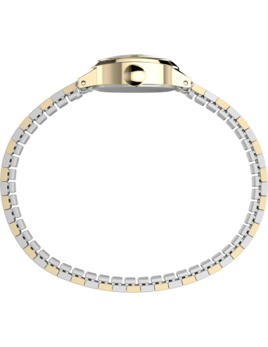 Timex Cavatina TW2Y66900 Watch