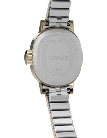 Timex Cavatina TW2Y66900 Watch