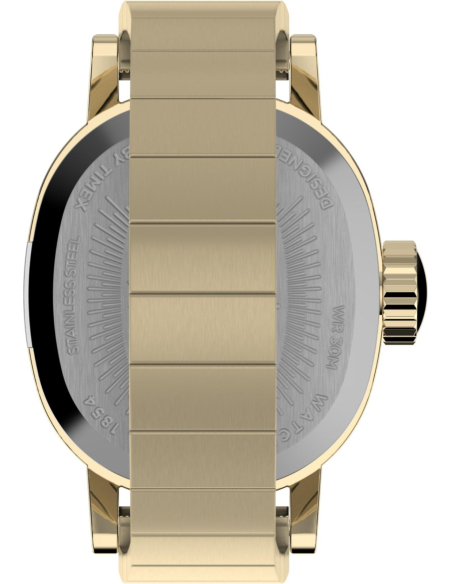 Timex Cavatina TW2Y70800 Watch