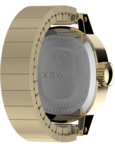 Timex Cavatina TW2Y70800 Watch