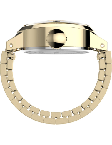 Timex Cavatina TW2Y70800 Watch