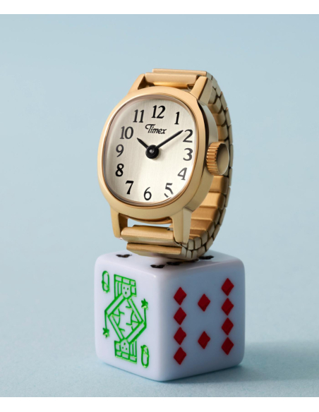 Timex Cavatina TW2Y70800 Watch
