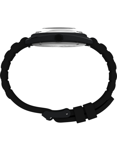 Timex Peanuts Reissue TW2Y70900 Watch