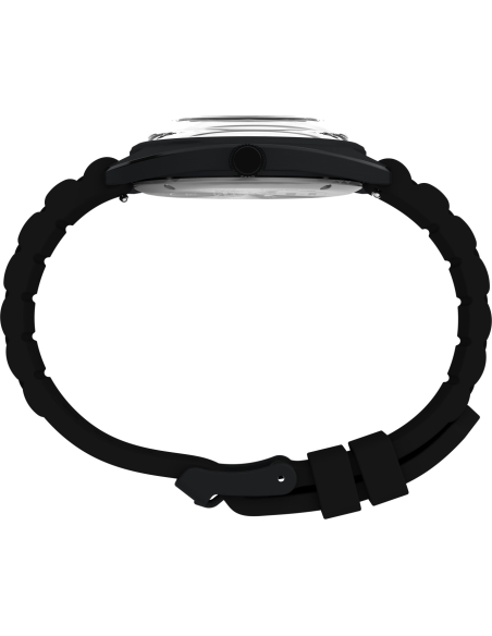 Timex Peanuts Reissue TW2Y70900 Watch