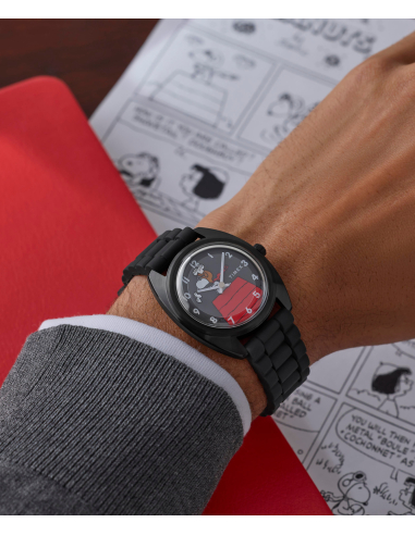 Timex Peanuts Reissue TW2Y70900 Watch