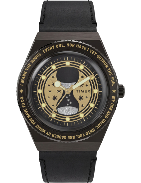 Timex Harry Potter TW2Y76000 Watch