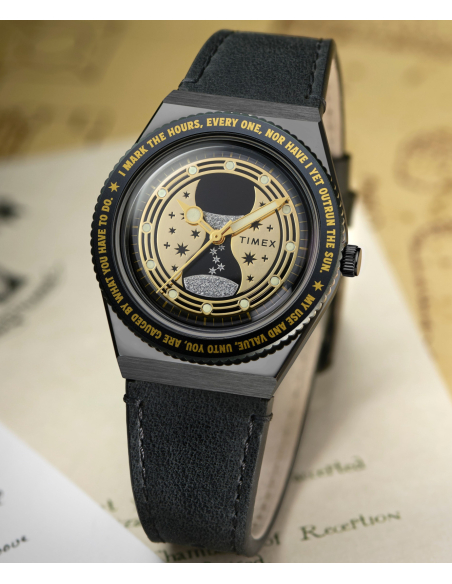 Timex Harry Potter TW2Y76000 Watch