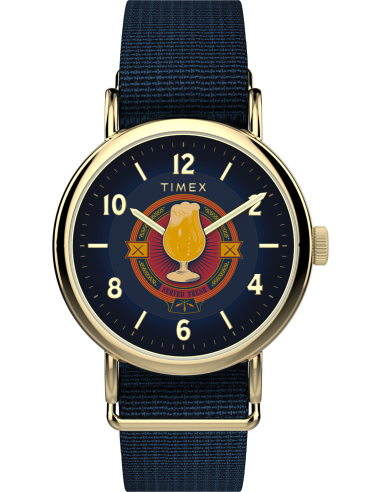 Timex Harry Potter TW2Y76100 Watch