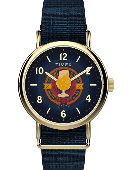 Timex Harry Potter TW2Y76100 Watch