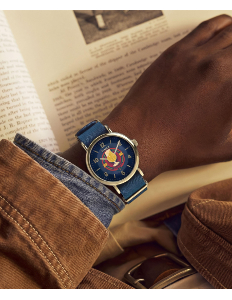 Timex Harry Potter TW2Y76100 Watch