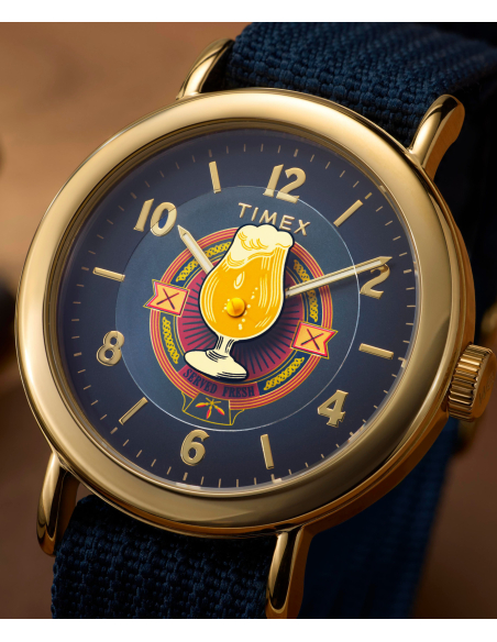 Timex Harry Potter TW2Y76100 Watch