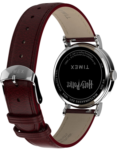 Timex Harry Potter TW2Y76200 Watch