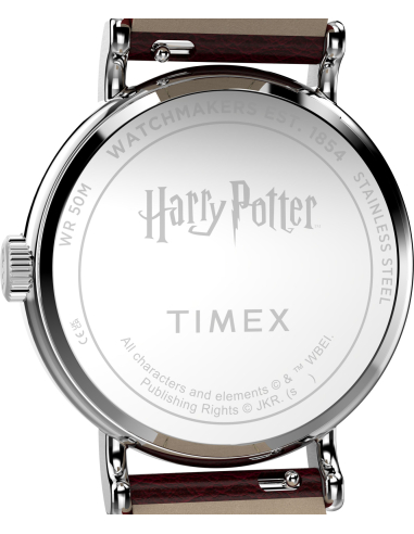 Timex Harry Potter TW2Y76200 Watch