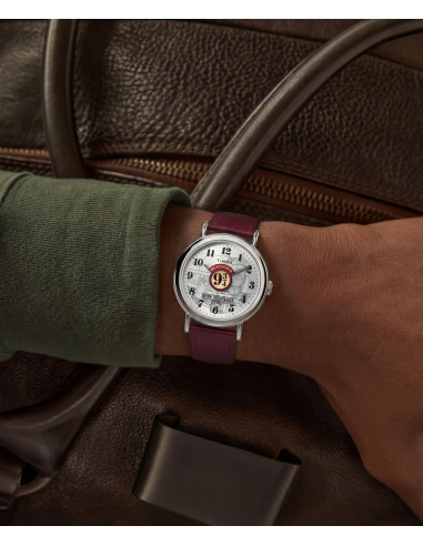 Timex Harry Potter TW2Y76200 Watch