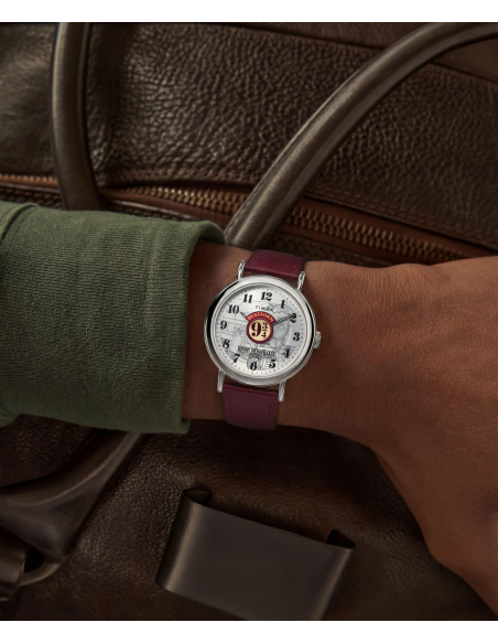 Timex Harry Potter TW2Y76200 Watch
