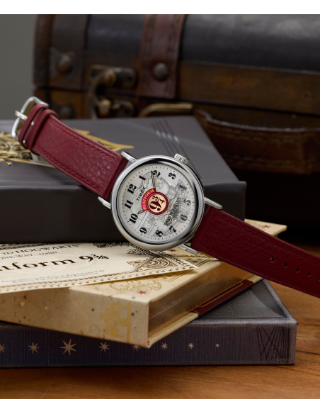 Timex Harry Potter TW2Y76200 Watch