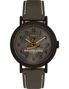 Timex Harry Potter TW2Y77000 Watch
