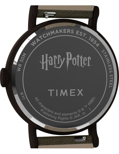 Timex Harry Potter TW2Y77000 Watch