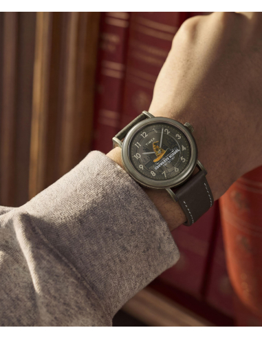 Timex Harry Potter TW2Y77000 Watch