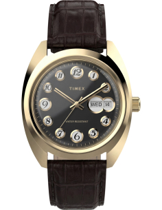 Timex Lab Reissue TW2Y82100 Watch