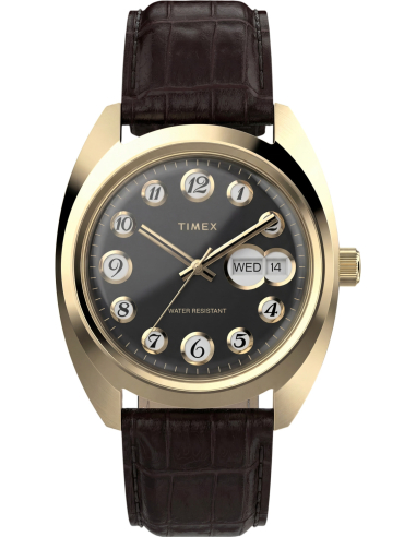 Timex Lab Reissue TW2Y82100 Watch