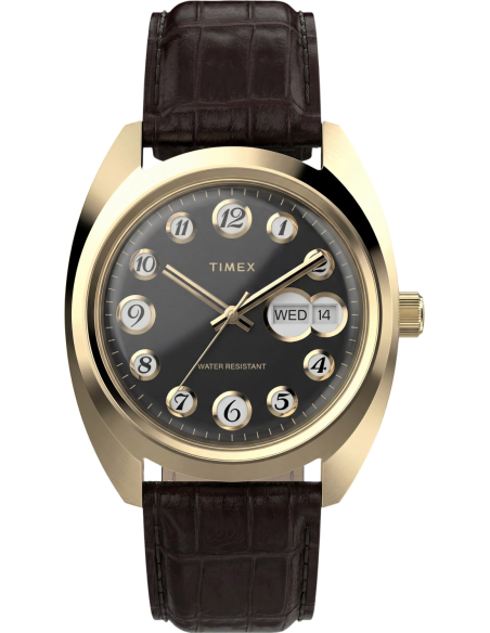 Timex Lab Reissue TW2Y82100 Watch