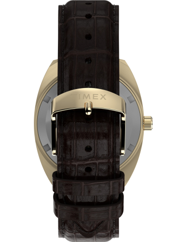 Timex Lab Reissue TW2Y82100 Watch