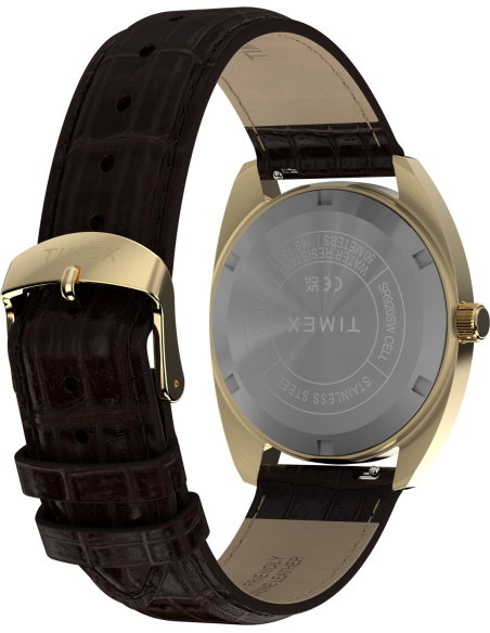 Timex Lab Reissue TW2Y82100 Watch