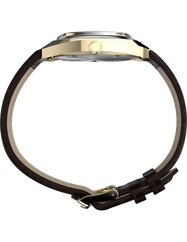 Timex Lab Reissue TW2Y82100 Watch