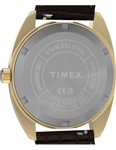 Timex Lab Reissue TW2Y82100 Watch
