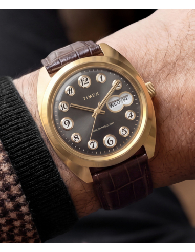 Timex Lab Reissue TW2Y82100 Watch