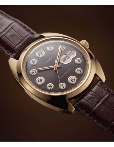 Timex Lab Reissue TW2Y82100 Watch