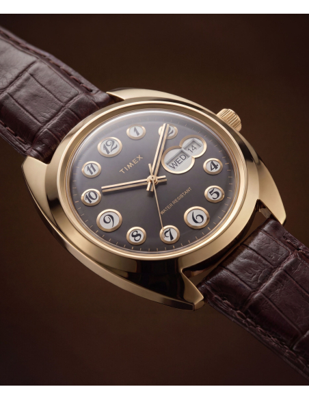 Timex Lab Reissue TW2Y82100 Watch