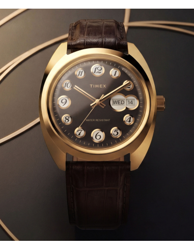 Timex Lab Reissue TW2Y82100 Watch