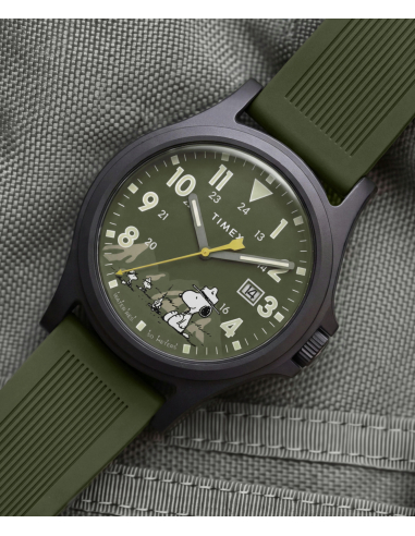 Timex Peanuts Expedition Acadia TW2Y84600 Watch
